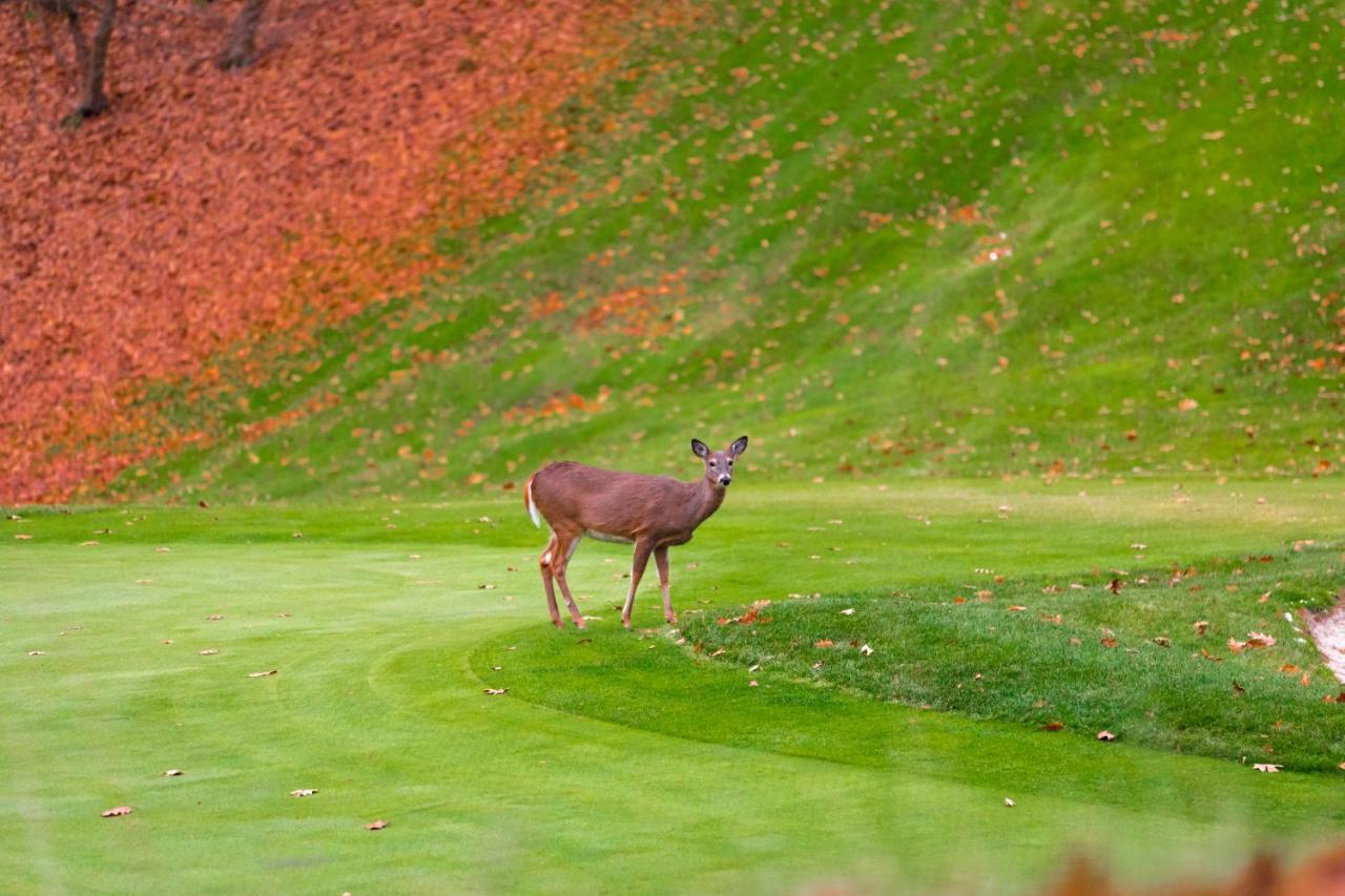 Crown Resorts At Wolf Run DuBois Luaran gambar